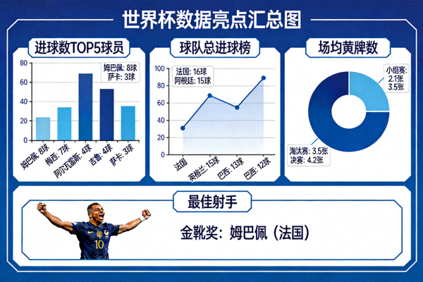 世界杯数据亮点汇总图，展示关键统计指标